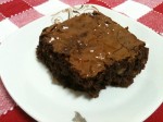 Brownie (21)
